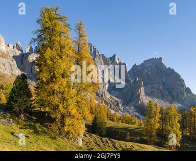 Peaks towering over Val Venegia. Pala group (Pale di San Martino) in the dolomites of Trentino, Italy. Pala is part of the UNESCO World Heritage Site. Stock Photo