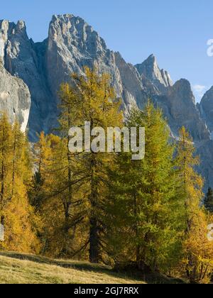 Peaks towering over Val Venegia. Pale di San Martino in the Dolomites of Trentino. Pala is part of the UNESCO World Heritage Site, Dolomites, Italy. Stock Photo