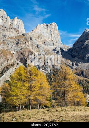 Marmolada from Val Contrin in the Fassa Valley. Marmolada mountain range in the Dolomites of Trentino. Dolomites are part of the UNESCO World Heritage
