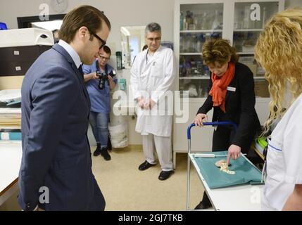 Prince Daniel visits Karolinska University Hospital's transplant surgery clinic at Huddinge hospital on Tuesday April 16, 2013. Associate Professor and Consultant Annika Wernersson shows a bit of a kidney.   Stock Photo