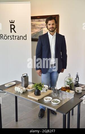 STOCKHOLM 20130812 Prince Carl Philip stands behind the idea and concept development of 'The Swedish Red List,' a new series of plates and bowls from porcelain maker Rorstrand presented on Monday, August 12, 2013 Not pictured designer Anna Lerinder and illustrator Stefan Horberg created the series with images of endangered Swedish plants and animals. Foto: Henrik Montgomery / SCANPIX / kod: 10060  Stock Photo