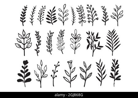 collection of leaves and branches silhouette hand drawn vector illustration Stock Vector