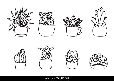 hand drawn flower in a pot isolated on white background. vector design collection Stock Vector