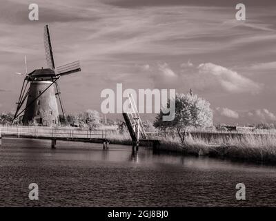 Netherlands, Kinderdijk. Windmills at sunset in Kinderdijk Stock Photo