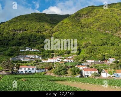 Faja dos Vimes. Sao Jorge Island, Azores, Portugal. Stock Photo