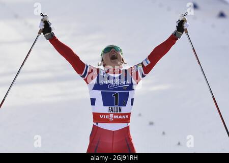 Norway's Maiken Caspersen Falla celebrates after crossing the finish line during the women's cross-country free team sprint final at the Nordic Skiing World Championships in Falun, Sweden, on Feb. 22, 2015. Photo: Anders Wiklund / TT / code 10040  Stock Photo