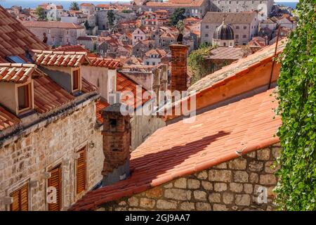 Croatia. Dalmatia. Dubrovnik. Red terra cotta roof tiles in the old town of Dubrovnik. Stock Photo