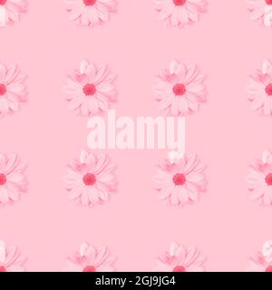 Monochrome pastel pink flower floral seamless pattern. Chamomile or chrysanthemum flower pattern. Copy space, top view Stock Photo