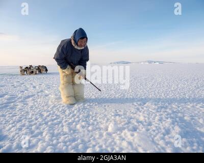 Watching a breathing hole of a seal. Inuit hunter wearing traditional trousers and boots made from polar bear fur on the sea ice of the Melville Bay n Stock Photo