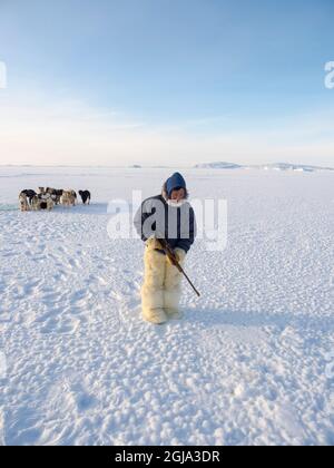 Watching a breathing hole of a seal. Inuit hunter wearing traditional trousers and boots made from polar bear fur on the sea ice of the Melville Bay n Stock Photo