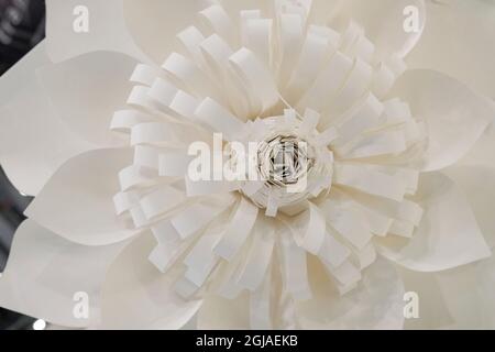 White paper flower. Stock Photo