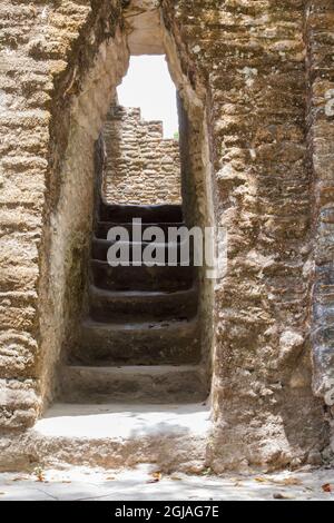 Cahal Pech Mayan ruins in San Ignacio, Belize. Stock Photo