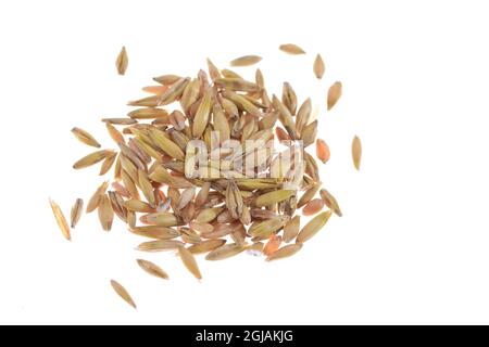 Grains of various cereals in close-up and magnification. Stock Photo