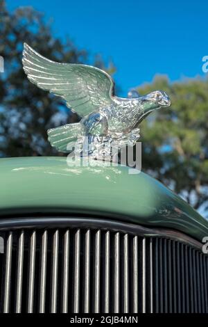 Flying Eagle hood ornament Stock Photo - Alamy