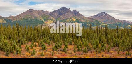 USA, Alaska. Fall colors near Denali National Park Stock Photo