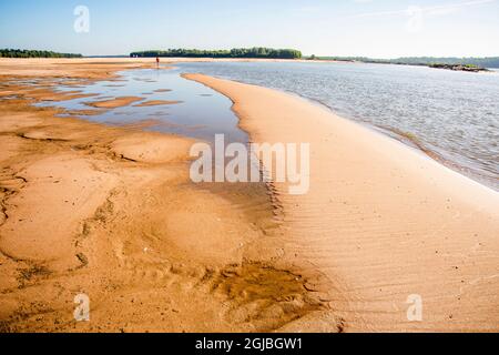 USA, Arkansas. Mississippi River Basin, Arkansas beach on west side of Mississippi River across from island 63, at bottom of Island 62. Stock Photo