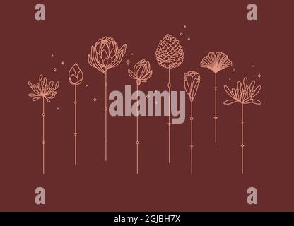 Flowers long stem drawing in art deco style on red background Stock Vector