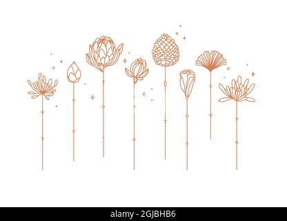 Flowers long stem drawing in art deco style Stock Vector