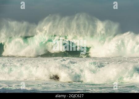Huge winter waves crashing in Carmel Bay, California. Stock Photo