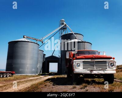 Old red work truck parked in front of several large steel grain silos on farm Stock Photo