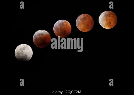 USA, Colorado. Full moon phases in total lunar eclipse. Credit as: Don Grall / Jaynes Gallery / DanitaDelimont.com Stock Photo