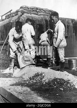 ATLANTIC COAST, FRANCE 1940-1944 Members of the Reich Labour Service (Reicharbeitsdienst), building fortifications in the Atlantic Wall, during the German occupation of parts of France during the Second World War. Photo: Lange / AB Text & Bilder / Scherl Bilderdienst / SVT / Kod: 5600  Stock Photo