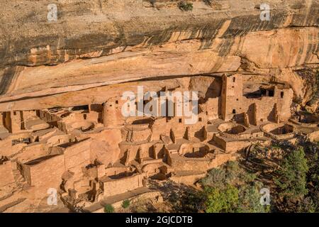 USA, Colorado, Mesa Verde National Park. Cliff Palace, the largest cliff dwelling in North America, was built by the Ancestral Puebloans between 1190 Stock Photo