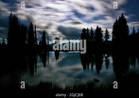 Night sky near Crested Butte Colorado at paradise divide Stock Photo