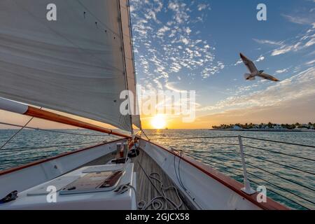 Sunset sail on schooner America 2.0 in Key West, Florida, USA Stock Photo