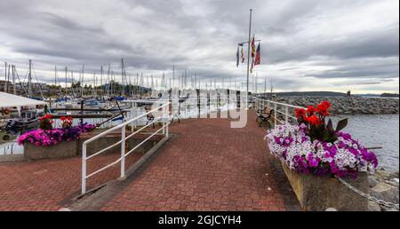 Scenic View of Marina with Sailboats on the Pacific Ocean Stock Photo