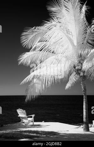 USA, Florida Keys. Infrared palm trees with lounge chairs along the Florida Keys Stock Photo