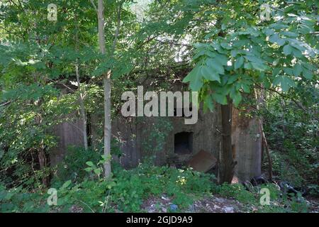 Anusin, Siemiatycze, Poland - July 12, 2021: Molotov Line constructed by the Soviet Union in the period 1940-1941 (russian defense line). Bunkers Stock Photo
