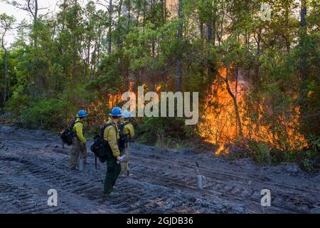 Intense heat produced by a forest fire, as firefighters look on. Stock Photo