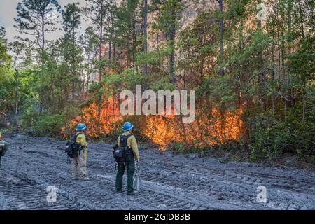 Intense heat produced by a forest fire, as firefighters look on. Stock Photo