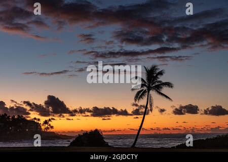 Coconut palm trees silhouetted against vivid sunrise clouds at Poipu Beach in Kauai, Hawaii, USA Stock Photo