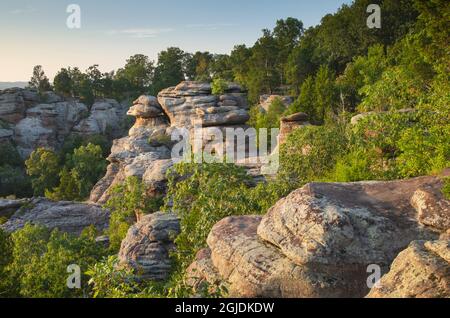 Garden of the Gods Recreation Area, Shawnee National Forest, Illinois. Stock Photo