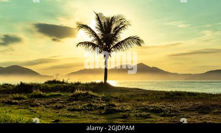 Litoral Norte da Praia de Alagoas. Brasil (Foto:  / Fotoarena  Stock Photo - Alamy