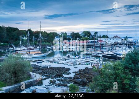 USA, Maine, Camden. Camden Harbor with schooners at dawn. Stock Photo