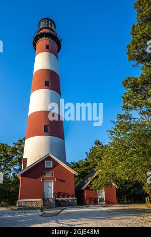 Lighthouse at Assateague Island, Maryland Stock Photo - Alamy