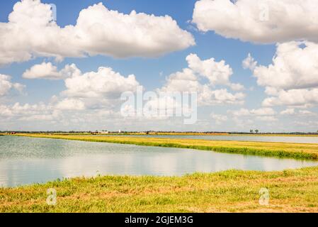 USA, Mississippi. Mississippi River Basin, catfish ponds. Stock Photo