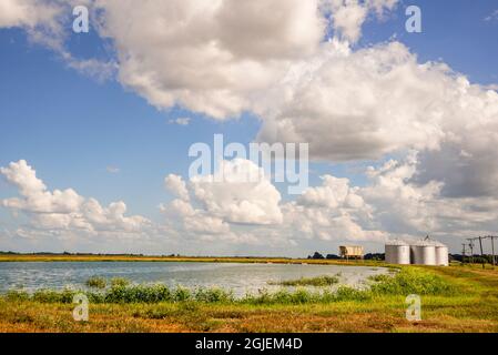 USA, Mississippi River Basin. 2018 No Water No Life expedition to the Yazoo-Mississippi Delta, Ruleville, catfish ponds. Stock Photo