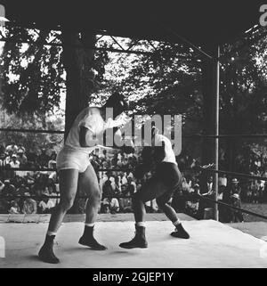 Joe Louis & Tony Musto Worn Boxing Gloves Loa