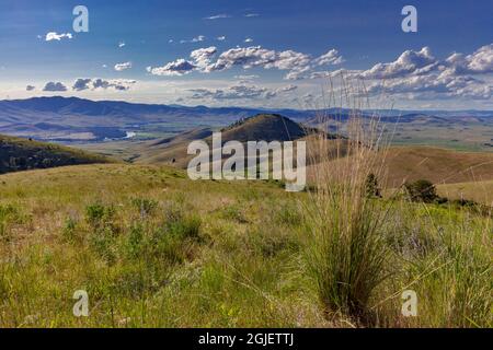 Stacked pile of cast elk horns at the National Bison Range in Montana, USA  Stock Photo - Alamy