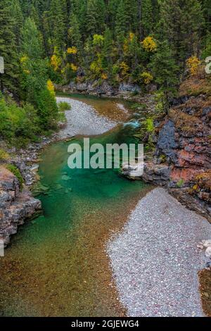 The Spotted Bear River in the Flathead National Forest, Montana, USA Stock Photo