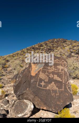 USA, New Mexico. Petroglyph National Monument, Petroglyphs on rocks and rising hillside at Boca Negra Canyon. Stock Photo