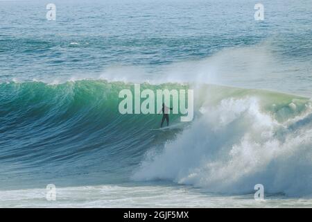 Surfer on a perfect big wave Stock Photo