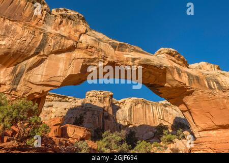 USA, Utah, Capitol Reef National Park, Hickman Bridge in early morning; this natural bridge meaasures 133 feet in length. Stock Photo