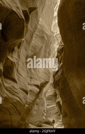 USA, Utah. Paria Canyon-Vermillion Cliffs Wilderness, hiker in a deep narrow slot of Buckskin Gulch. (MR) Stock Photo