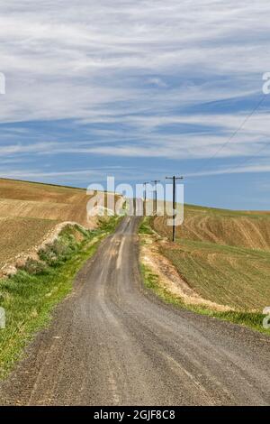 Winding rural road across rolling hills of the Palouse, eastern Washington. Stock Photo