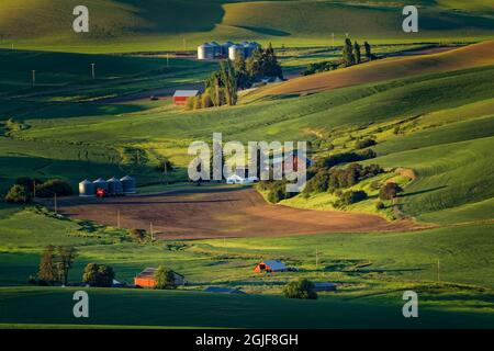 Idyllic farmstead at sunrise among the rolling wheat fields of the Palouse region of eastern Washington. Stock Photo